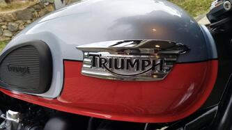 Triumph Scrambler (2006 - 17) usata