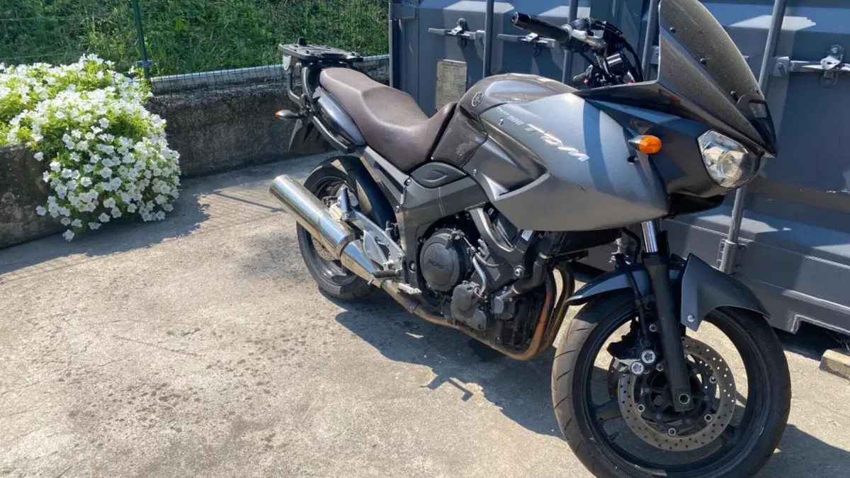 Yamaha TDM 900 (2002 - 14)  (6)
