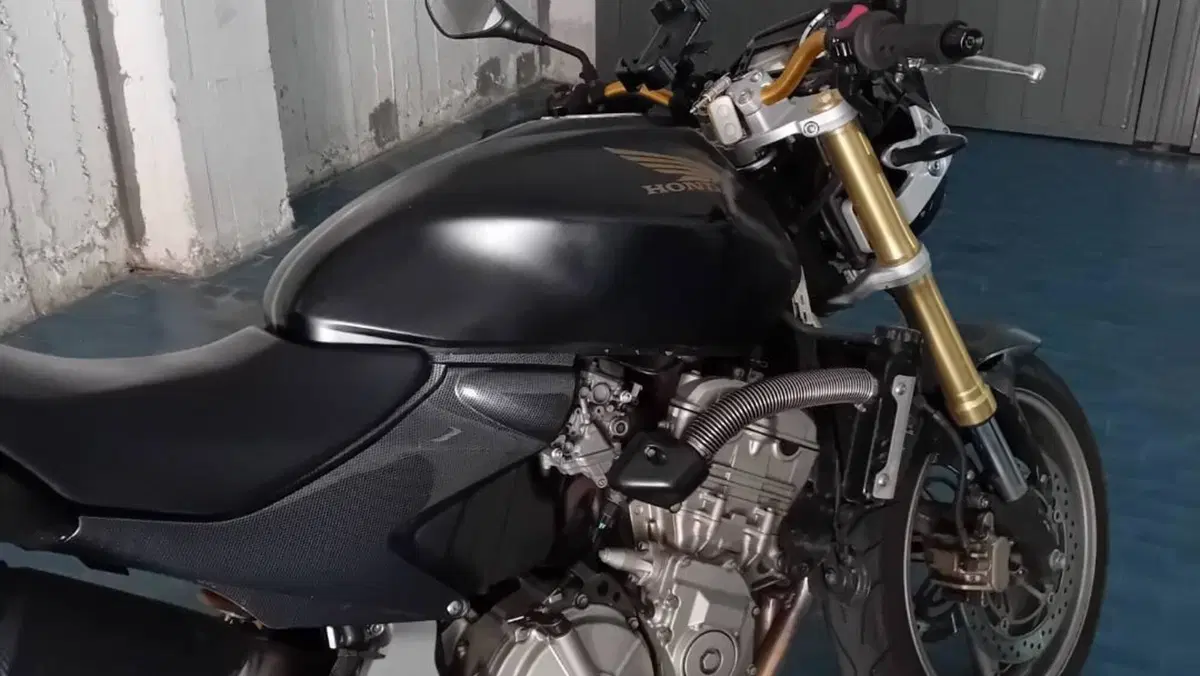 Honda Hornet 600 (2005 - 06)  (3)
