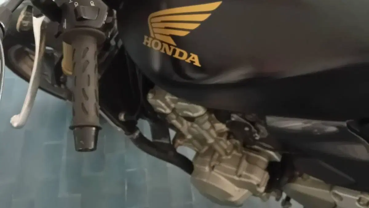 Honda Hornet 600 (2005 - 06)  (4)