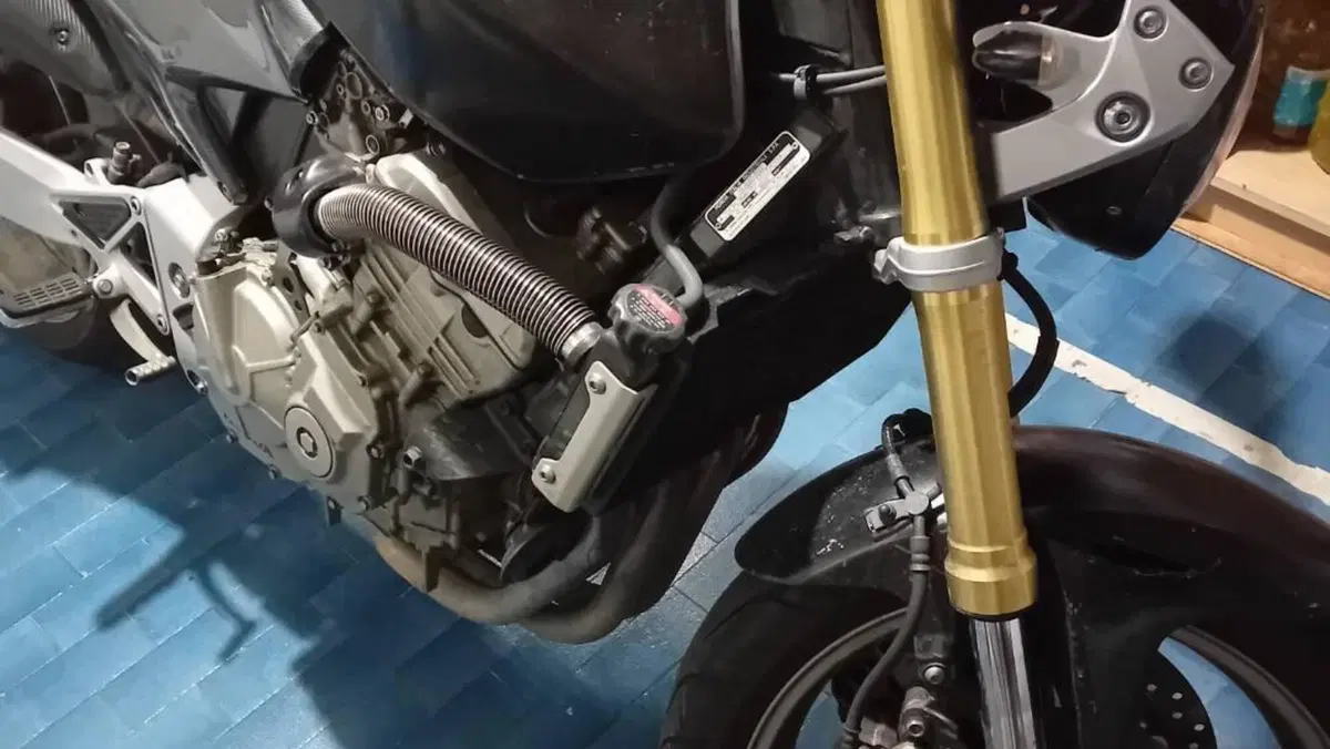 Honda Hornet 600 (2005 - 06)  (5)