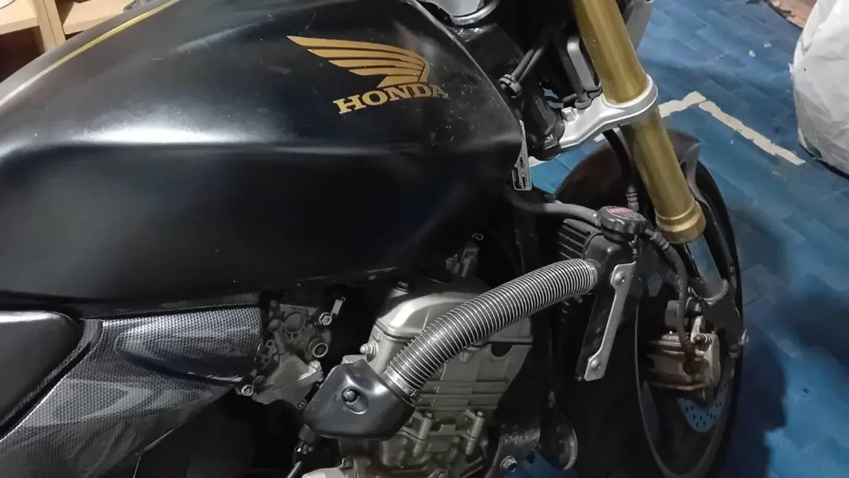 Honda Hornet 600 (2005 - 06) 