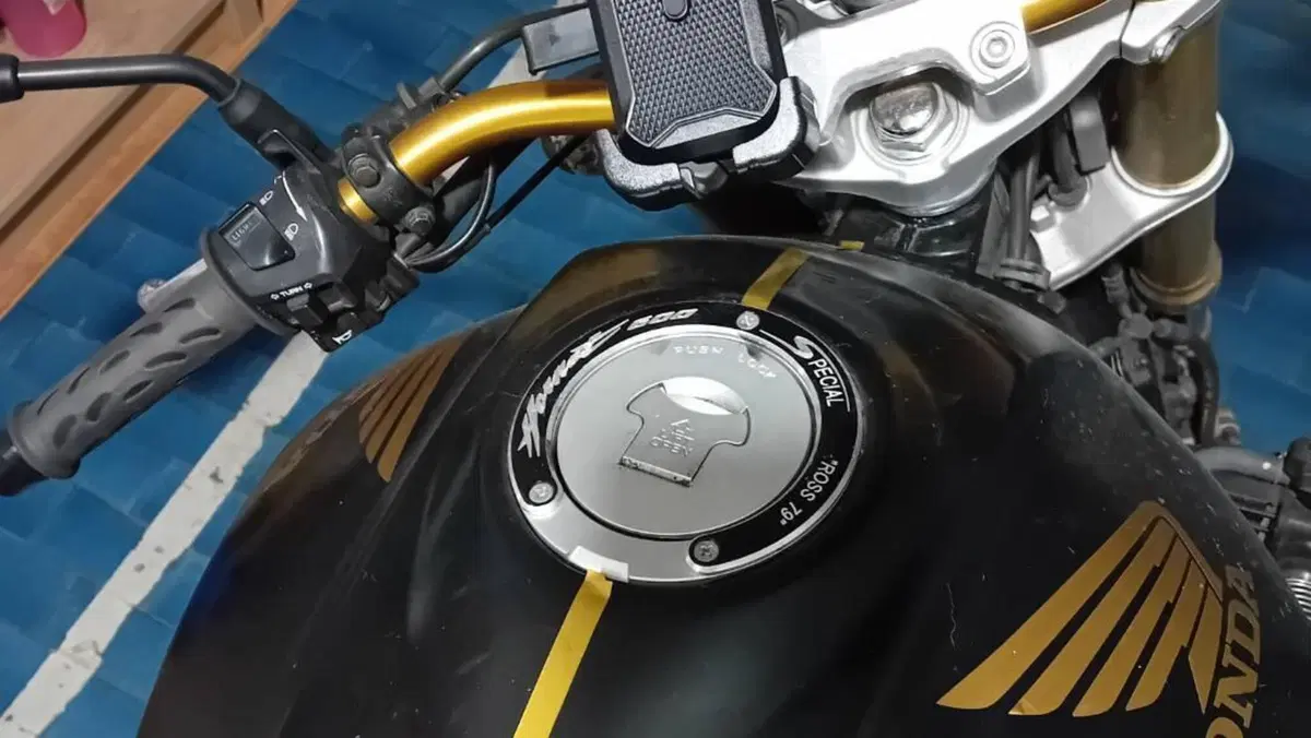 Honda Hornet 600 (2005 - 06)  (6)