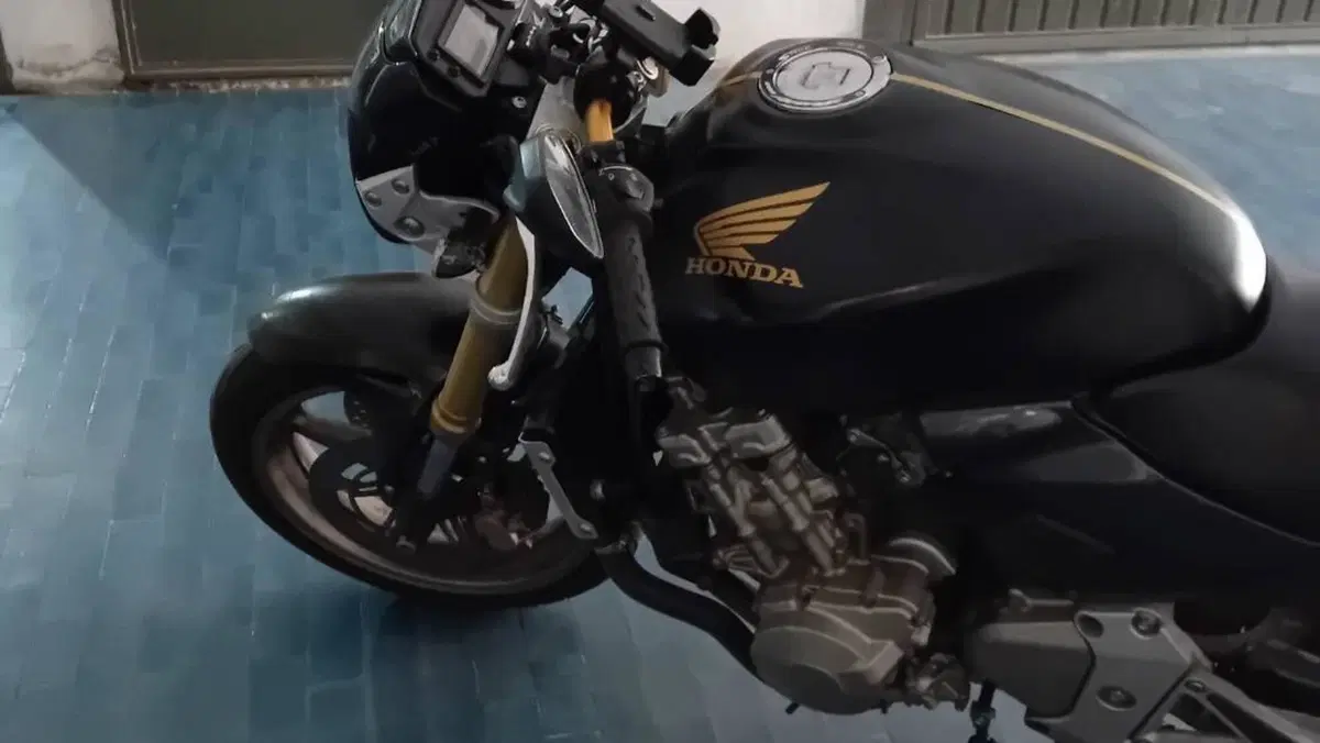 Honda Hornet 600 (2005 - 06)  (8)