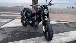 Swm Ace of Spades 125 (2022 - 23) 