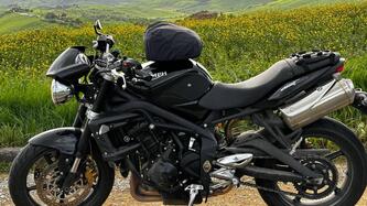 Triumph Street Triple (2007 - 12) usata