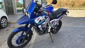 Suzuki DR Big 800 S usata