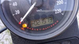 Harley-Davidson 883 Iron (2017 - 20) - XL 883N 