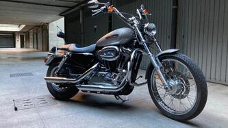 Harley-Davidson 1200 Custom (2007 - 13) - XL 1200C usata