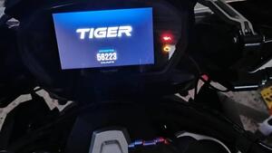 Triumph Tiger 1200 XRt (2018 - 20) 
