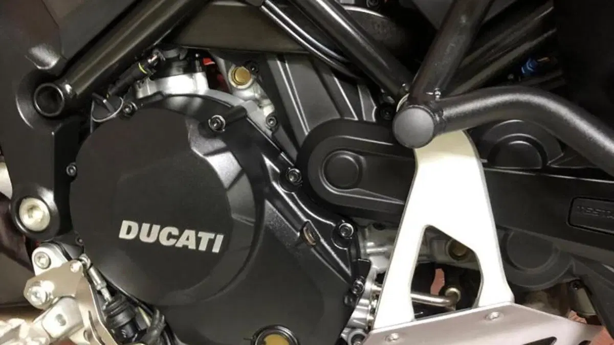 Ducati Multistrada 1200 Enduro Pro (2017 - 18)  (8)
