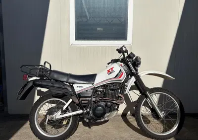 Yamaha XT 550 - Annuncio 9870031