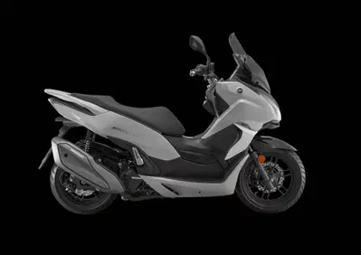 QJ Motor MTX 300 (2025 - 26) - Annuncio 9870106