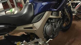 Yamaha TDM 900 (2002 - 14) usata