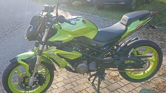 Benelli BN 125 (2021 - 25) usata