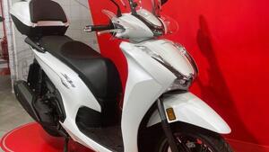 Honda SH 350 (2021 - 24) 