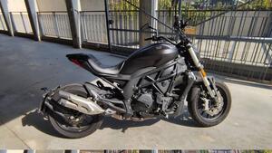 Benelli 502 C (2021 - 25) 