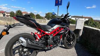 Benelli BN 125 (2021 - 25) usata