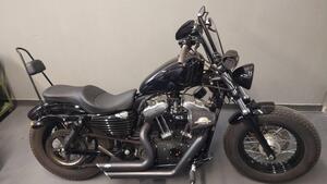 Harley-Davidson 1200 Forty-Eight (2010 - 15) 