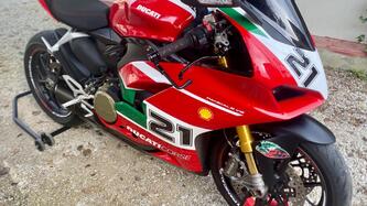 Ducati Panigale V2 Bayliss 1st Championship 20th Anniversary (2021 - 24)