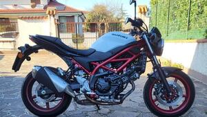Suzuki SV650 (2021 - 24) 