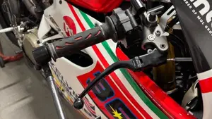 Ducati 1199 Panigale R ABS (2013 - 17)  (6)