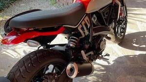 Ducati Scrambler 800 Icon (2023 - 25) 