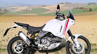 Ducati DesertX (2022 - 25) usata