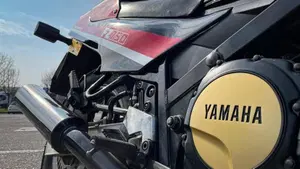 Yamaha   (7)