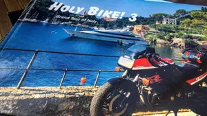 Yamaha   (10)