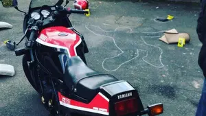 Yamaha   (11)