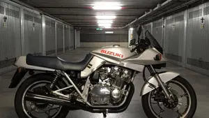 Suzuki   (6)