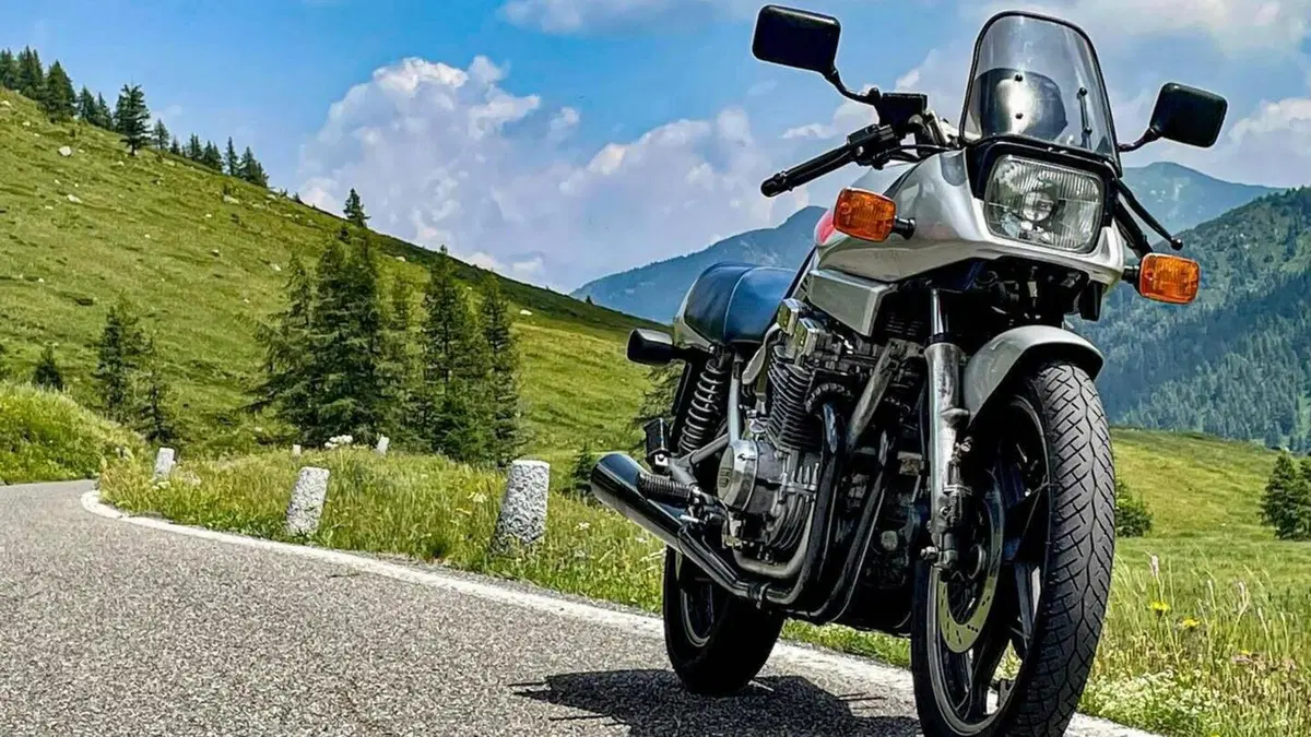 Suzuki   (10)