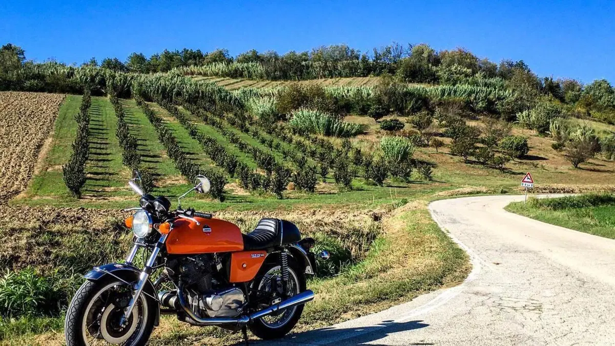 Laverda   (10)