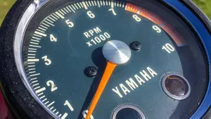 Yamaha   (8)