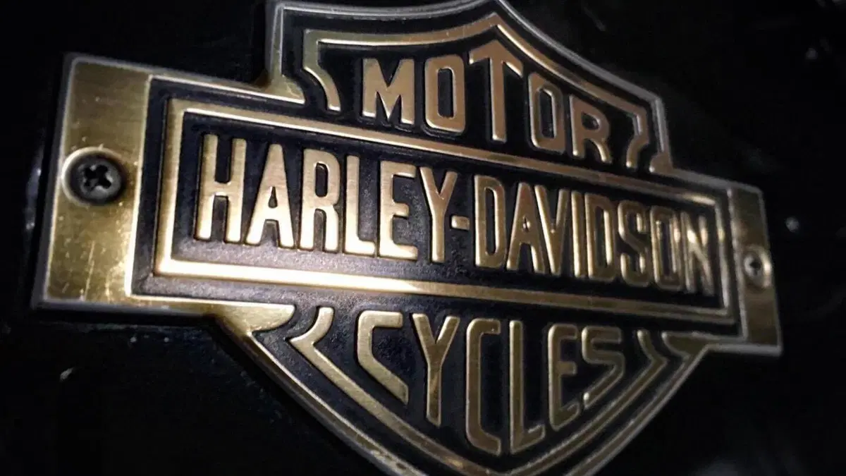 Harley-Davidson   (10)