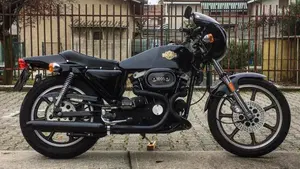 Harley-Davidson   (11)