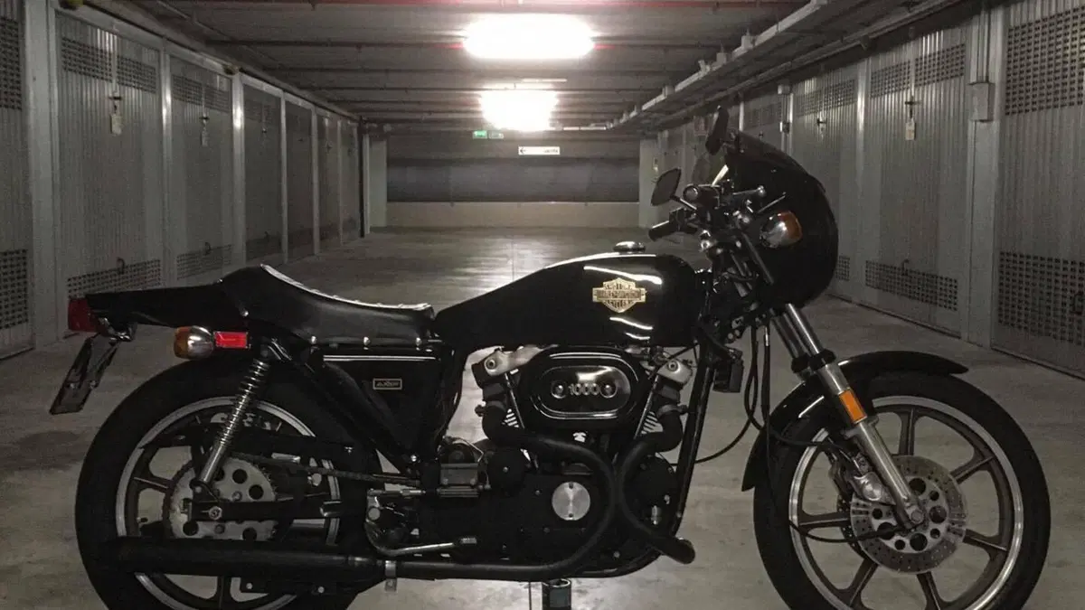 Harley-Davidson   (12)