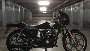 Harley-Davidson   (12)