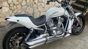 Harley-Davidson 1130 V-Rod (2002 - 05) - VRSCA 