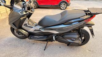 Honda Forza 350 (2022 - 24) usata