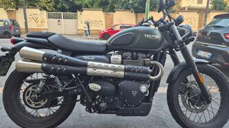 Triumph Street Scrambler 900 (2017 - 18) usata