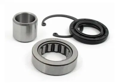 Kit cuscinetto, paraolio e seeger albero primaria All Balls - Annuncio 9873901