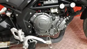 Benelli TRK 251 (2022 - 25)  (6)