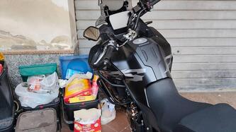 Voge Valico 625DSX (2025) usata