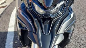 Benelli TRK 702 (2023 - 25) 