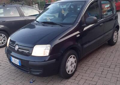 Fiat Panda 1.2 Dynamic Euro 5 usata