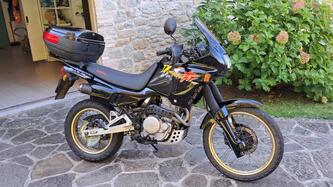 Honda NX 650 Dominator (1991 - 95) usata