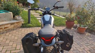 Ducati Scrambler 800 Icon (2023 - 25)