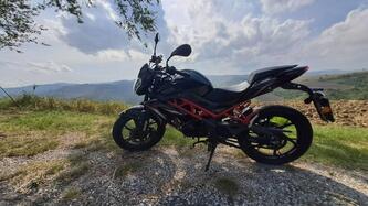 Benelli BN 125 (2021 - 25) usata